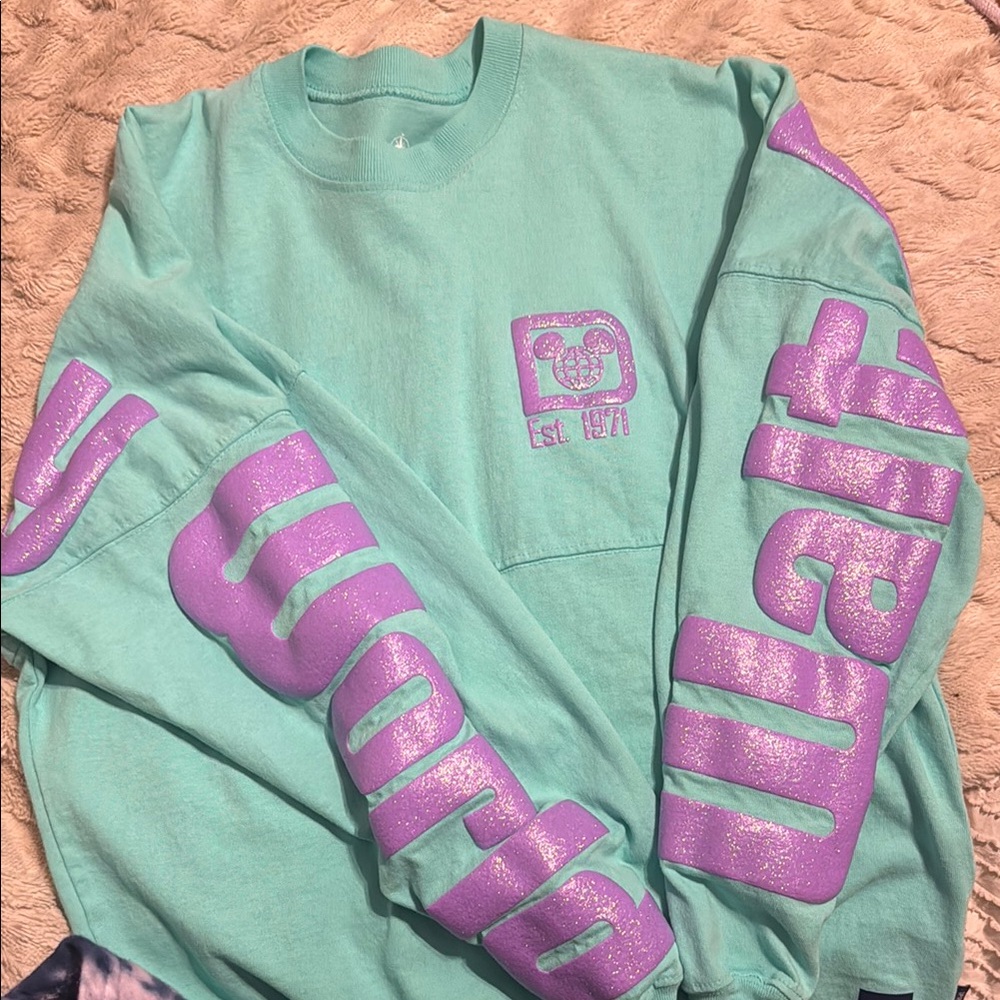 Walt Disney World oversized crew neck